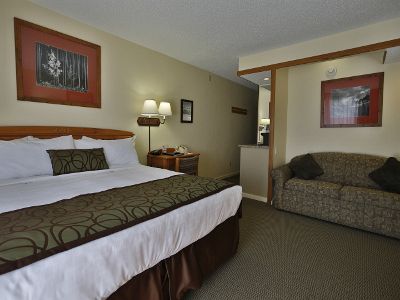 Hotels Ski/USA/Aspen/Pokolodi Lodge/Pokolodi-05
