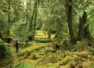 Tourweb-Fernweh-Angebote/Kanada/British-Columbia-Kootenay