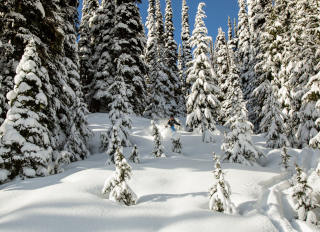 Tourweb/Kanada/Onlineanmeldung-Whistler-1