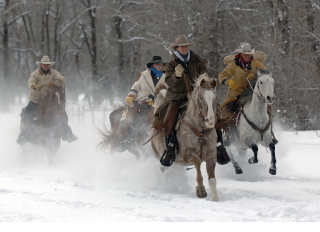 Tourweb/USA/Onlineanmeldung - Steamboat Pferde