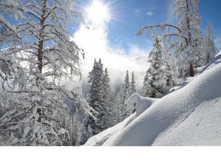 Tourweb/USA/Onlineanmeldung - Winterpark