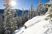 Beaver Creek Tiefschnee