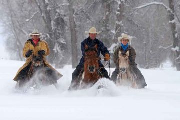 03-USA/Colorado/Steamboat/Neu-4