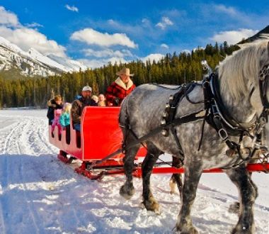 Bilder Banff/2011Pferdeschlittentour