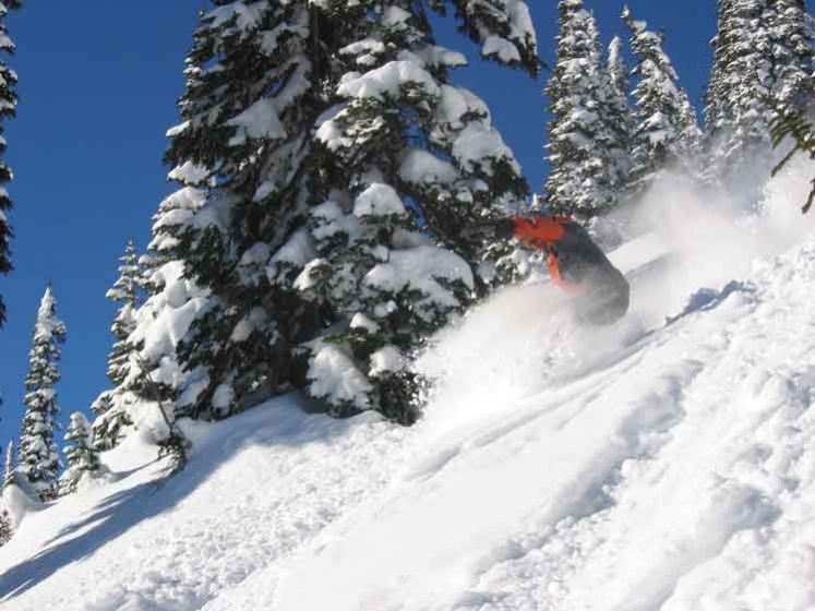 Fernie Tiefschnee