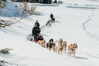 Sun Peaks - Hundeschlitten